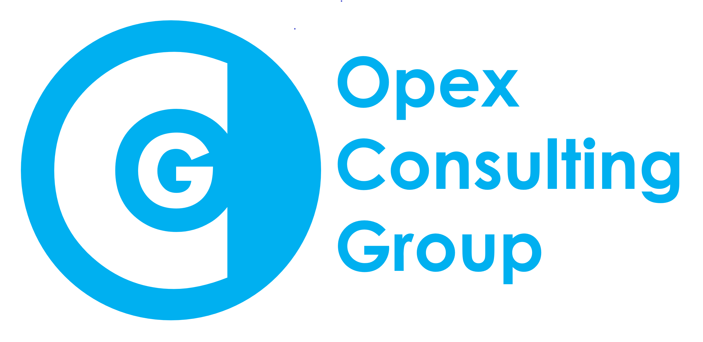 Opex Consulting Group